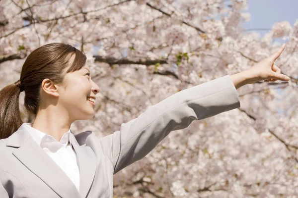 Красива Щаслива Молода Азіатка Вказує Пальцем Розквіт Дерев Весняному Парку — стокове фото