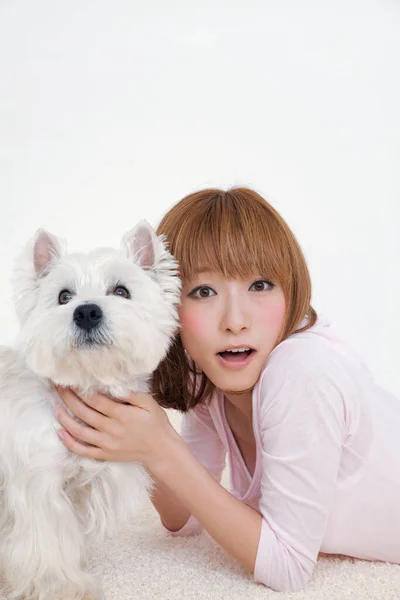 美しい日本の女の子は小さな白い犬を抱きしめます スタジオショット — ストック写真