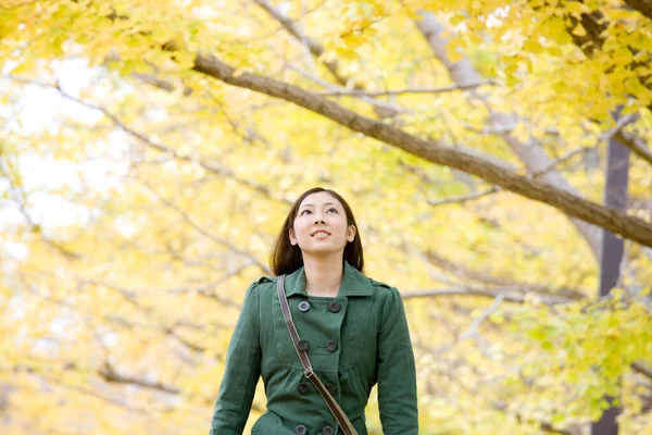 Jovem Mulher Japonesa Outono — Fotografia de Stock