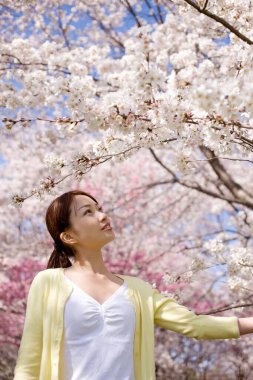 Çekici, gülümseyen Asyalı kadın parkta çiçek açan ağaçlara bakıyor.