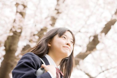 Çiçek açan kiraz ağacı arka planında poz veren Japon öğrenci.