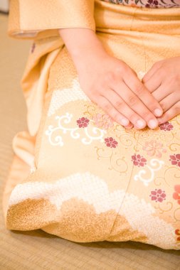 Geleneksel Japon kimonosu giymiş bir kadın yerde oturuyor.