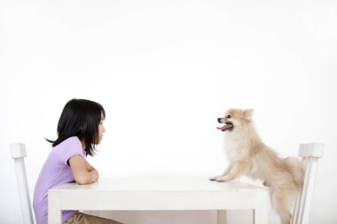 Şirin, mutlu Japon kızın yavru köpeğiyle portresi.