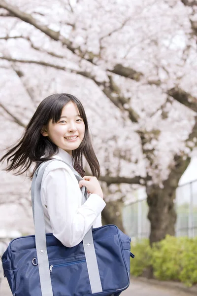 Piękna Japonka Szkolnym Mundurze Tle Kwitnącej Wiśni — Zdjęcie stockowe