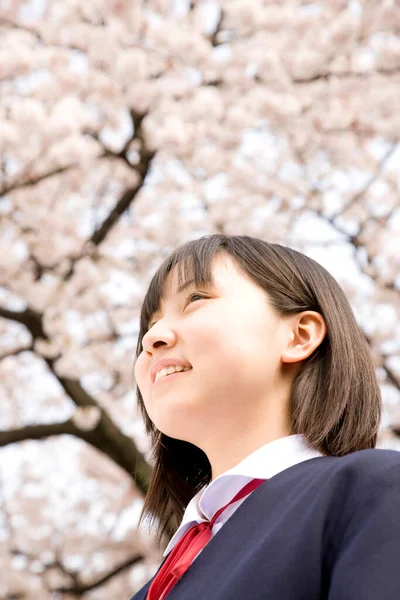 Mooi Japans Meisje School Uniform Achtergrond Van Bloeiende Kersenboom — Stockfoto