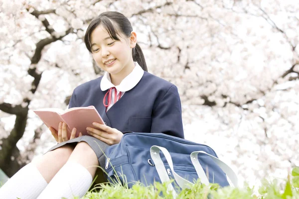 Όμορφη Γιαπωνέζα Σχολική Στολή Στο Φόντο Της Ανθισμένης Κερασιάς — Φωτογραφία Αρχείου