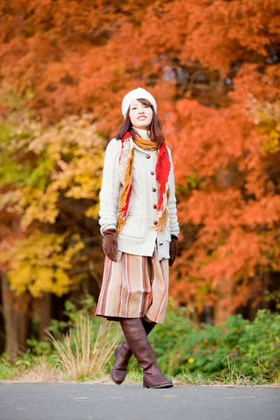 Jovem Bela Mulher Posando Floresta Outono — Fotografia de Stock