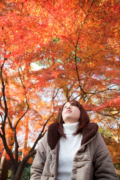 Junge Schöne Asiatische Frau Posiert Herbst Park — Stockfoto