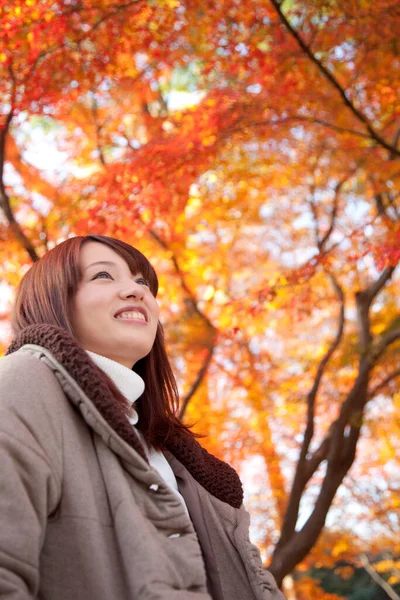 Młody Piękny Azji Kobieta Pozowanie Jesienny Park — Zdjęcie stockowe