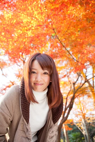 Joven Hermosa Asiático Mujer Posando Otoño Parque —  Fotos de Stock
