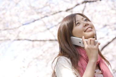 Parkta akıllı telefonlu Asyalı kadın ve çiçek açan kiraz ağaçları.