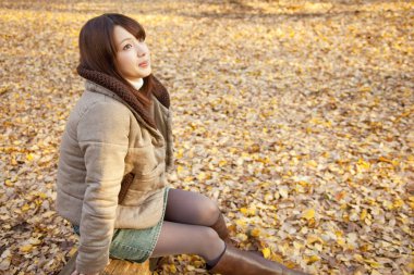 Genç güzel Asyalı kadın sonbahar parkında poz veriyor.