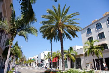 Palmiye ağaçları ve mavi gökyüzüne karşı binaları olan güzel bir cadde 