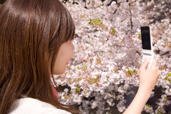 亚洲女人带着智能手机在公园里开着樱桃树 — 图库照片
