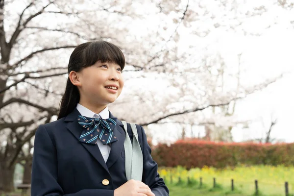 Asian Girl Traditional School Uniform Cherry Blossoms Background — Stock Photo, Image
