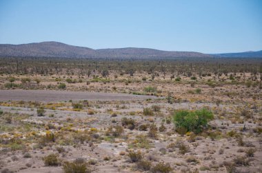 Birkaç çalı ve dağları olan bir çöl.