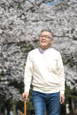 Parktaki çiçek açan ağaçlı yaşlı Asyalı adam.