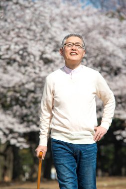 Parktaki çiçek açan ağaçlı yaşlı Asyalı adam.