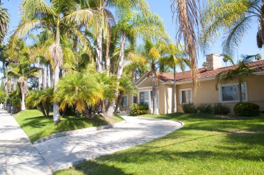 Uzun palmiye ağaçları ve yeşil çimlerle çevrili güneşli bir banliyö evi.