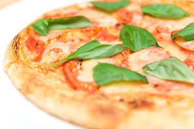 pizza with cheese and ham, close up