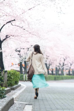 Parkta çiçek açan sakura ağaçlarıyla poz veren genç Asyalı kadın.