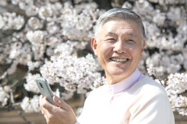 Çiçek açan ağaçlarla parkta yürürken akıllı telefon kullanan kıdemli bir Japon. 