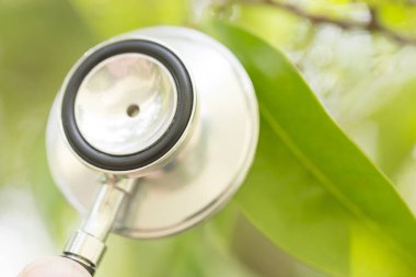 Yaprakların arka planında steteskop