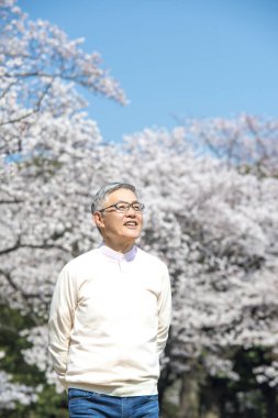 Parktaki çiçek açan ağaçlı yaşlı Asyalı adam.