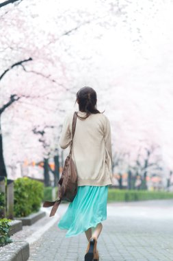 Parkta çiçek açan sakura ağaçlarıyla poz veren genç Asyalı kadın.