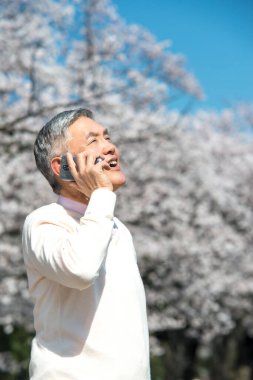 Çiçek açan ağaçlarla parkta yürürken akıllı telefon kullanan kıdemli bir Japon. 
