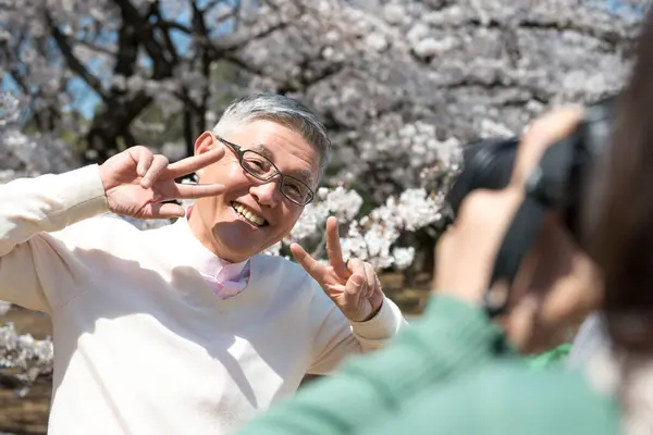 Yaşlı adamın çiçek açan ağaca karşı fotoğrafını çeken kadın. 