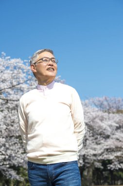 Parktaki çiçek açan ağaçlı yaşlı Asyalı adam.