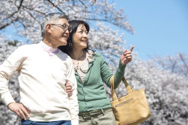 Güzel Asyalı olgun çift çiçek açan kiraz ağaçlarına karşı poz veriyor.