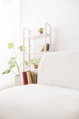 Beyaz mobilyalarla dolu rahat modern bir iç mekan. 