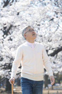Parktaki çiçek açan ağaçlı yaşlı Asyalı adam.