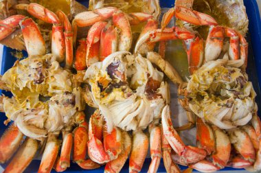 Kafe tezgahındaki lezzetli deniz ürünleri manzarasını kapat.