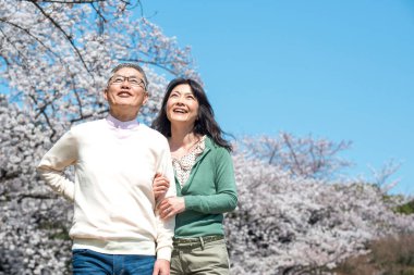 Güzel Asyalı olgun çift çiçek açan kiraz ağaçlarına karşı poz veriyor.