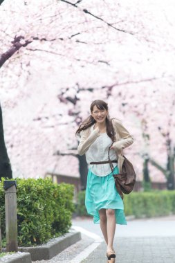 Parkta çiçek açan sakura ağaçlarıyla poz veren genç Asyalı kadın.