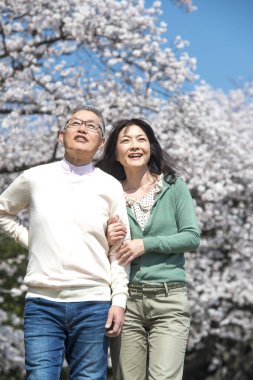 Güzel Asyalı olgun çift çiçek açan kiraz ağaçlarına karşı poz veriyor.