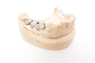 Beyaz arkaplanda izole edilmiş diş modeli