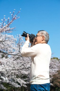 Olgun Asyalı fotoğrafçı parkta fotoğraf çekiyor.