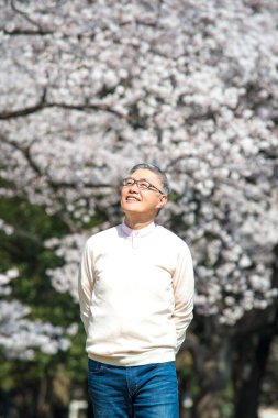 Parktaki çiçek açan ağaçlı yaşlı Asyalı adam.