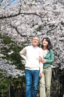 Güzel Asyalı olgun çift çiçek açan kiraz ağaçlarına karşı poz veriyor.