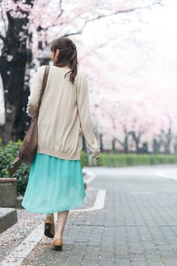 Parkta çiçek açan sakura ağaçlarıyla poz veren genç Asyalı kadın.