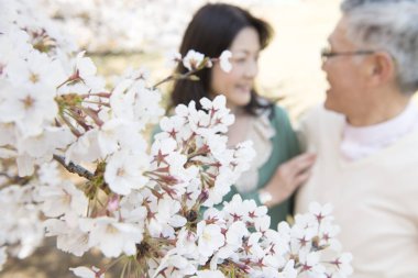 Güzel Asyalı olgun çift çiçek açan kiraz ağaçlarına karşı poz veriyor.