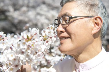 Parktaki çiçek açan ağaçlı yaşlı Asyalı adam.