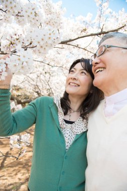 Güzel Asyalı olgun çift çiçek açan kiraz ağaçlarına karşı poz veriyor.