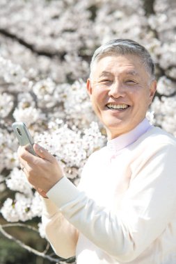Çiçek açan ağaçlarla parkta yürürken akıllı telefon kullanan kıdemli bir Japon. 