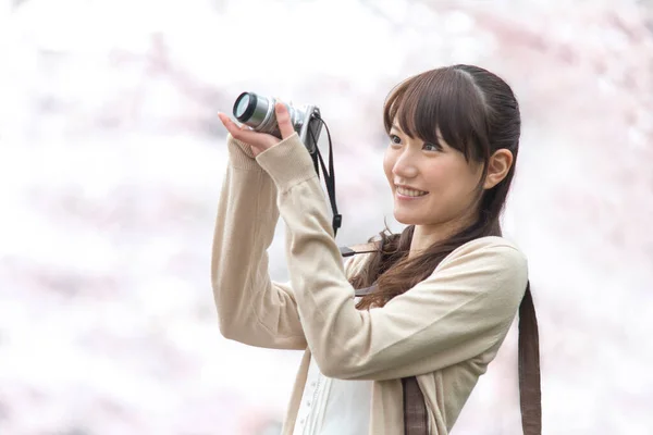 Close Asian Woman Photographer Park Blooming Cherry Trees — Stock Photo, Image