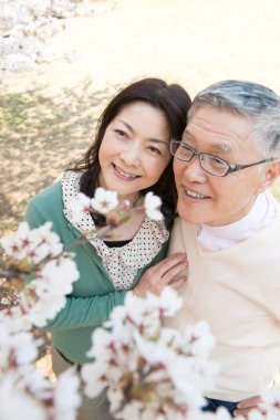 Güzel Asyalı olgun çift çiçek açan kiraz ağaçlarına karşı poz veriyor.